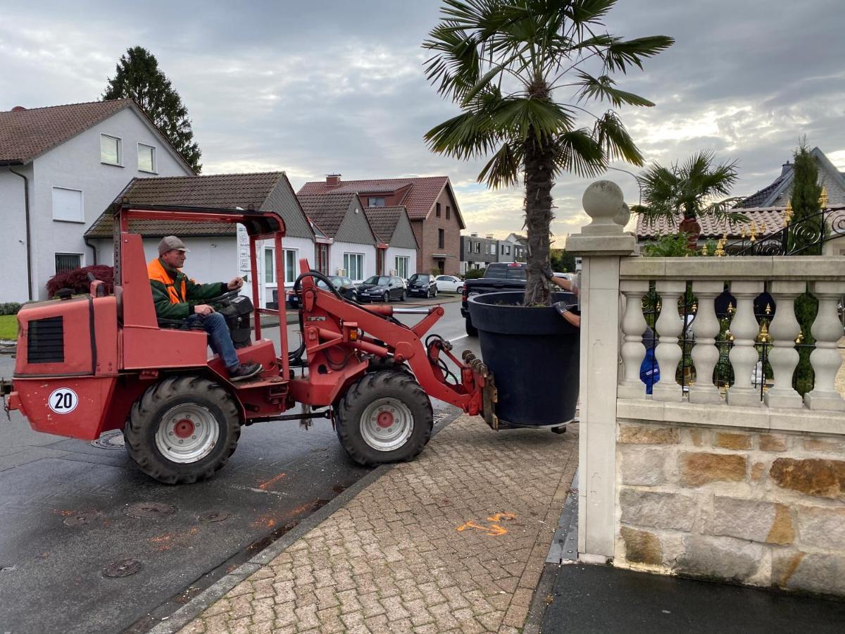 Wilsmann Apartmentvermietung Hövelhof Exteriör bild