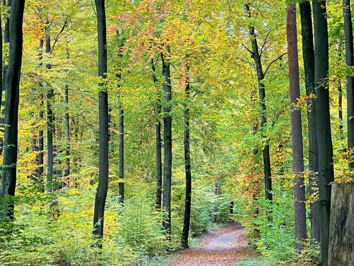 Wilsmann Apartmentvermietung Hövelhof Exteriör bild