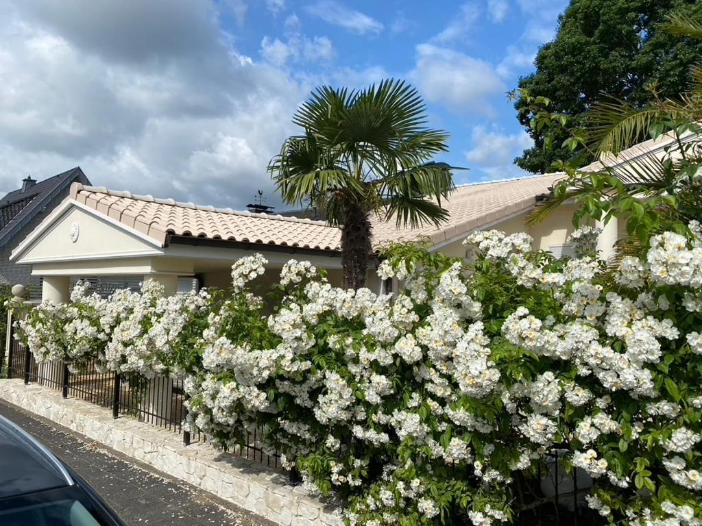 Wilsmann Apartmentvermietung Hövelhof Exteriör bild