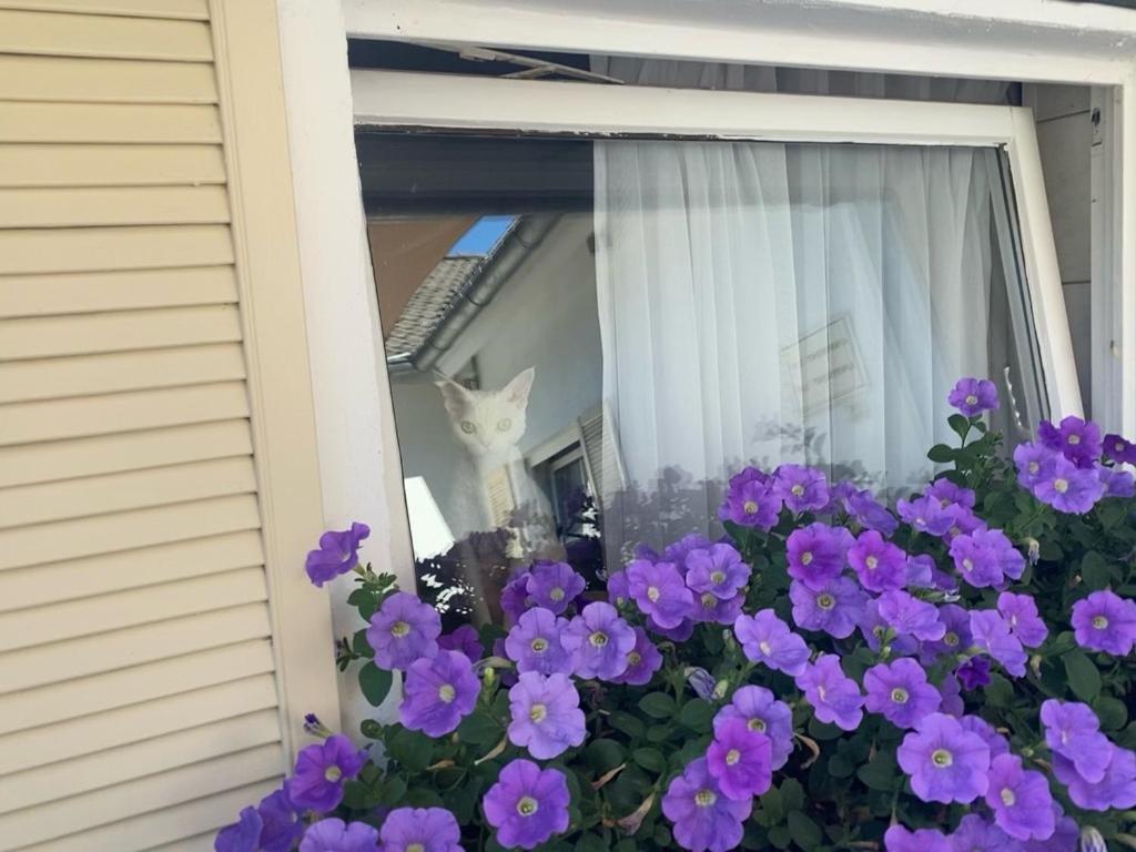 Wilsmann Apartmentvermietung Hövelhof Exteriör bild