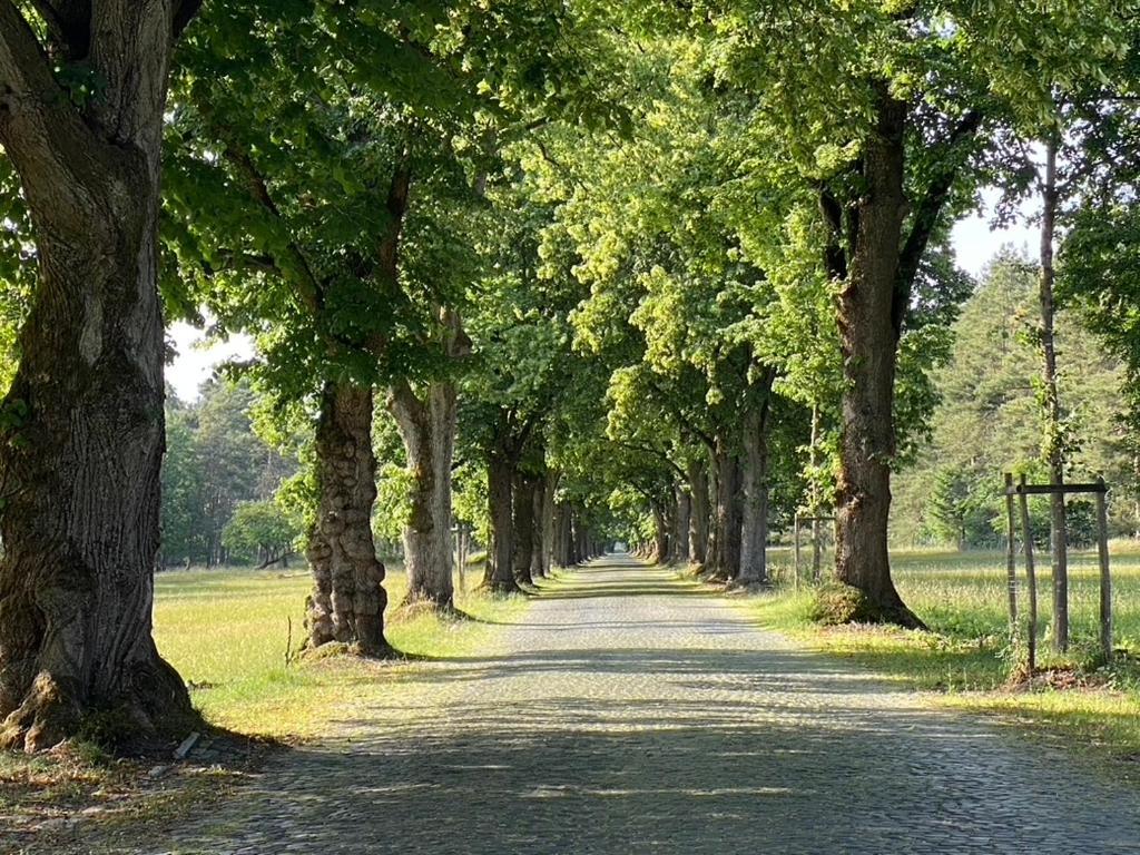 Wilsmann Apartmentvermietung Hövelhof Exteriör bild