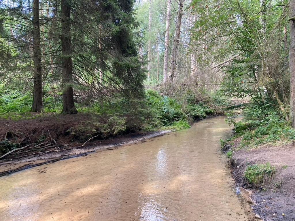 Wilsmann Apartmentvermietung Hövelhof Exteriör bild