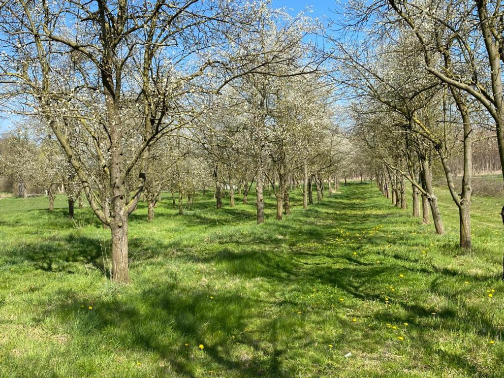 Wilsmann Apartmentvermietung Hövelhof Exteriör bild